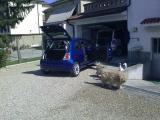 Clicca sull'immagine per ingrandirla