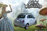 Alice in Wonderland... 