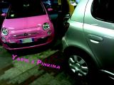 Le mie due bellissime bestioline!!