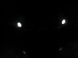 DRL PIAA