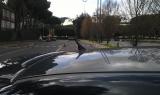 antennino 5 cm
