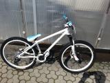 mongoose...