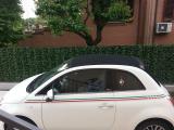 Nuove strisce italia