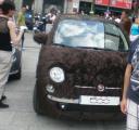cos'ha questo proprietario in comune con me???gli piace tanto il pelo!!!