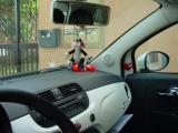 Clicca sull'immagine per ingrandirla