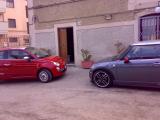 le due bestioline