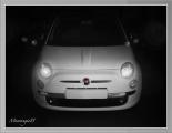 Light in the Dark
