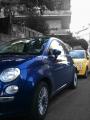 Blu&gialla