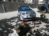 Clicca sull'immagine per ingrandirla
