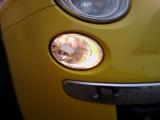 luce alogena normale